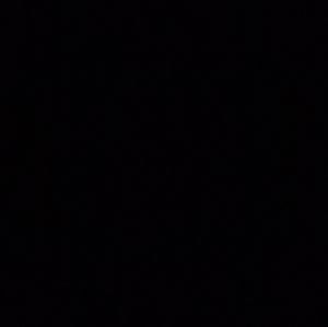 Meet your Posher, George